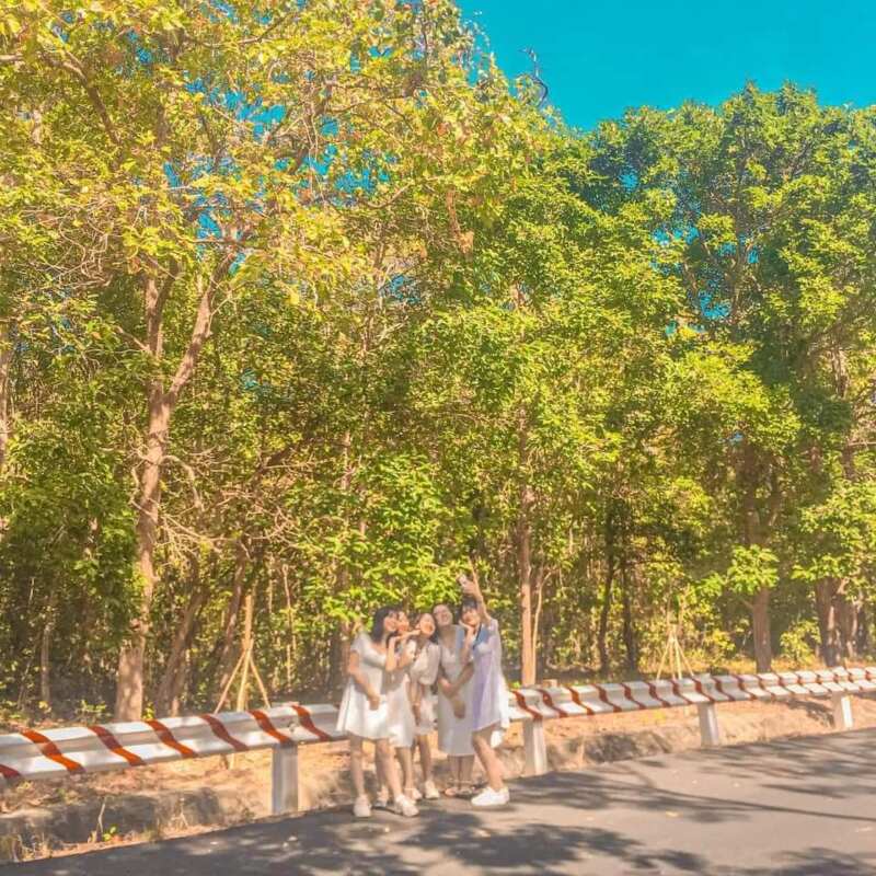 TOP 8 ĐIỂM DU LỊCH HỒ TRÀM – HỒ CỐC – BÌNH CHÂU KHÔNG THỂ BỎ QUA check in ở rừng nguyên sinh Bình Châu - Phước Bửu